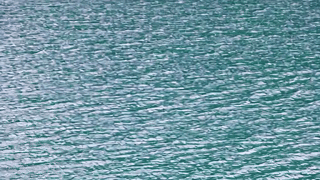 Generated GIF